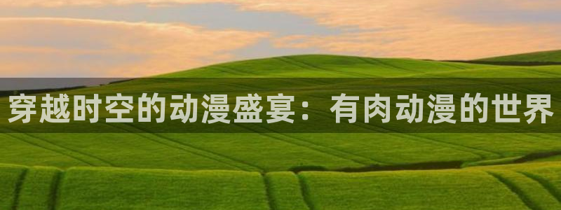 布丁动漫网：穿越时空的动漫盛宴：有肉动漫的世界