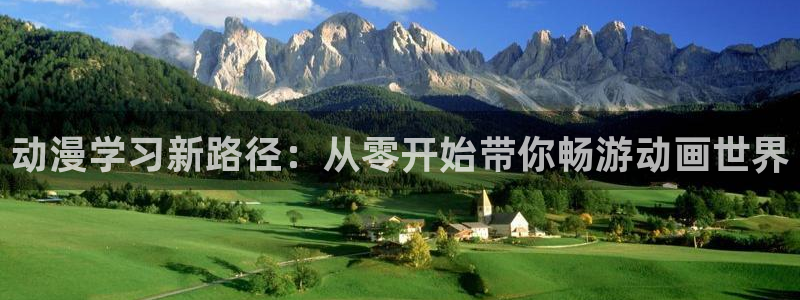 布丁动漫网：动漫学习新路径：从零开始带你畅游动画世界